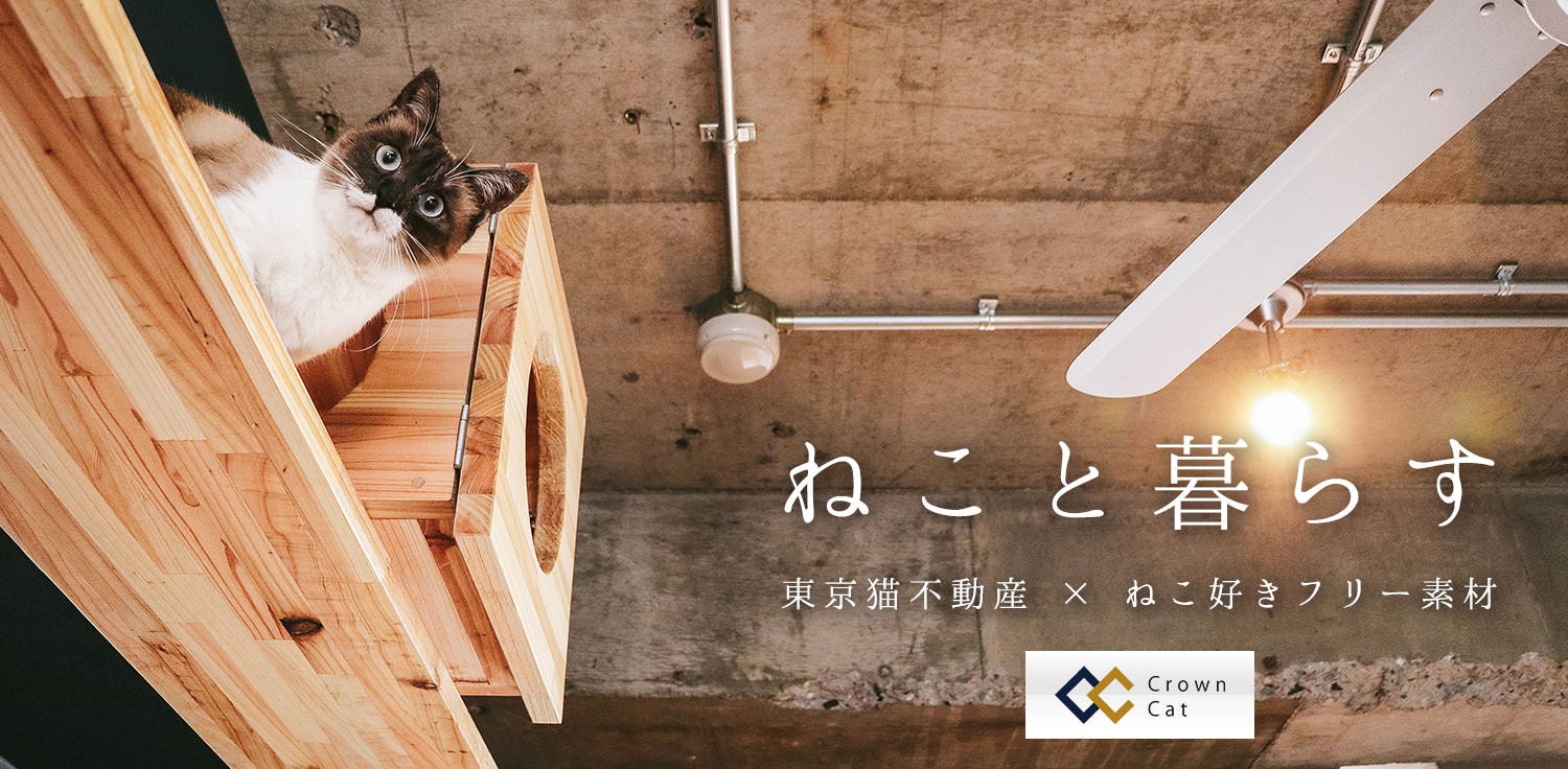 ねこ好き、ねこと暮らす。東京猫不動産の写真素材